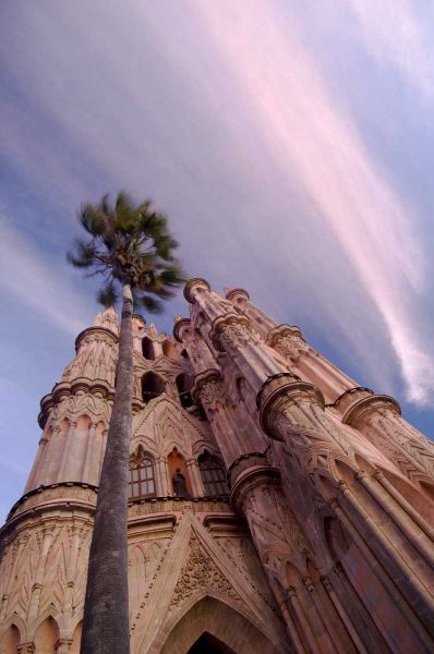 Mexico, The Parroquia Church and Palm Tree